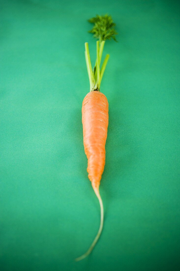 Fresh carrot on green background