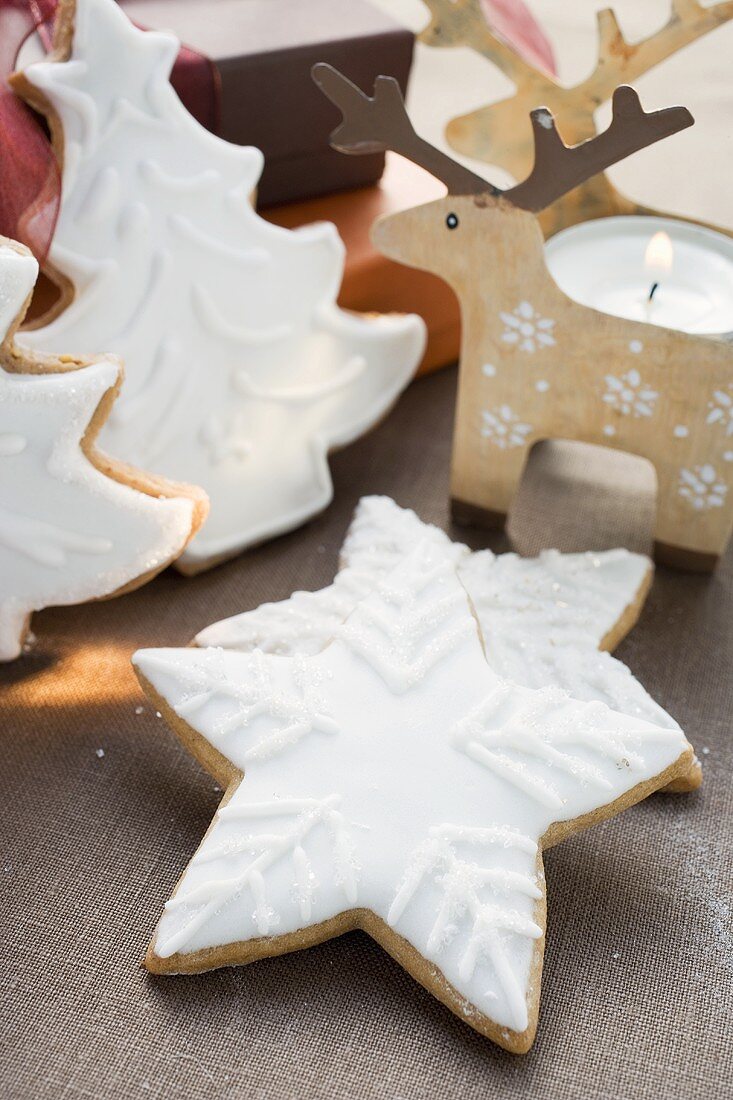 Assorted gingerbread biscuits with white icing