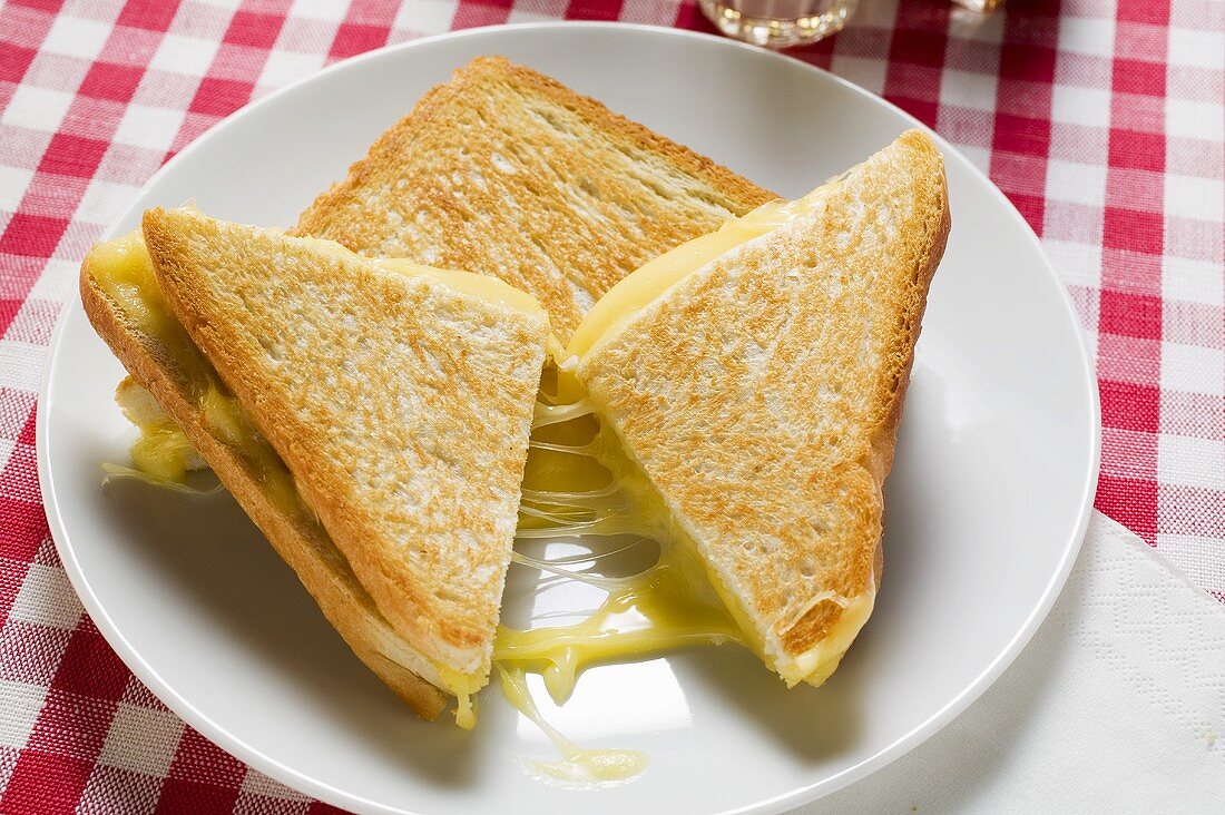 Toasted cheese sandwich, cut in two, on plate
