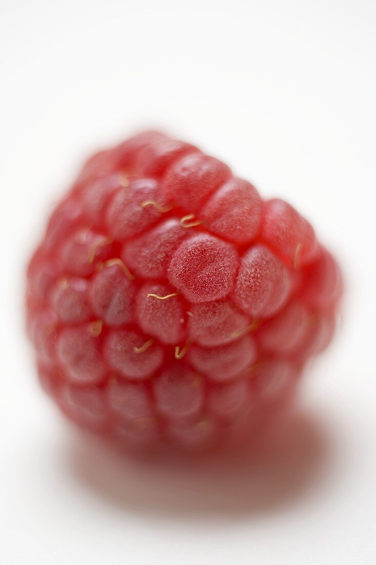 A raspberry (close-up)