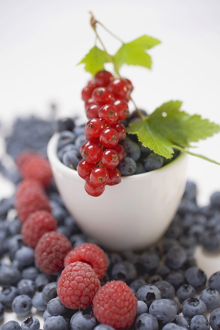 Blueberries, raspberries, redcurrants, some in bowl