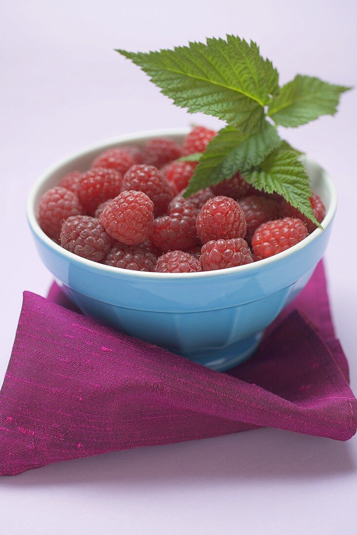 Raspberries with leaves in blue bowl