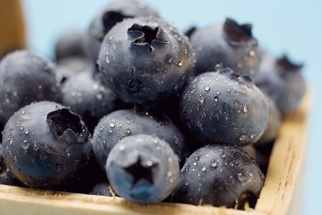 Heidelbeeren mit Wassertropfen im Spankorb (Close Up)