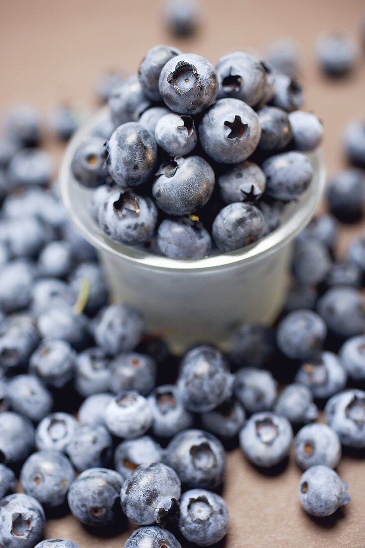 Heidelbeeren mit Plastikbecher