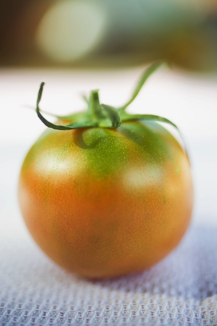 Tomate auf weißem Tuch