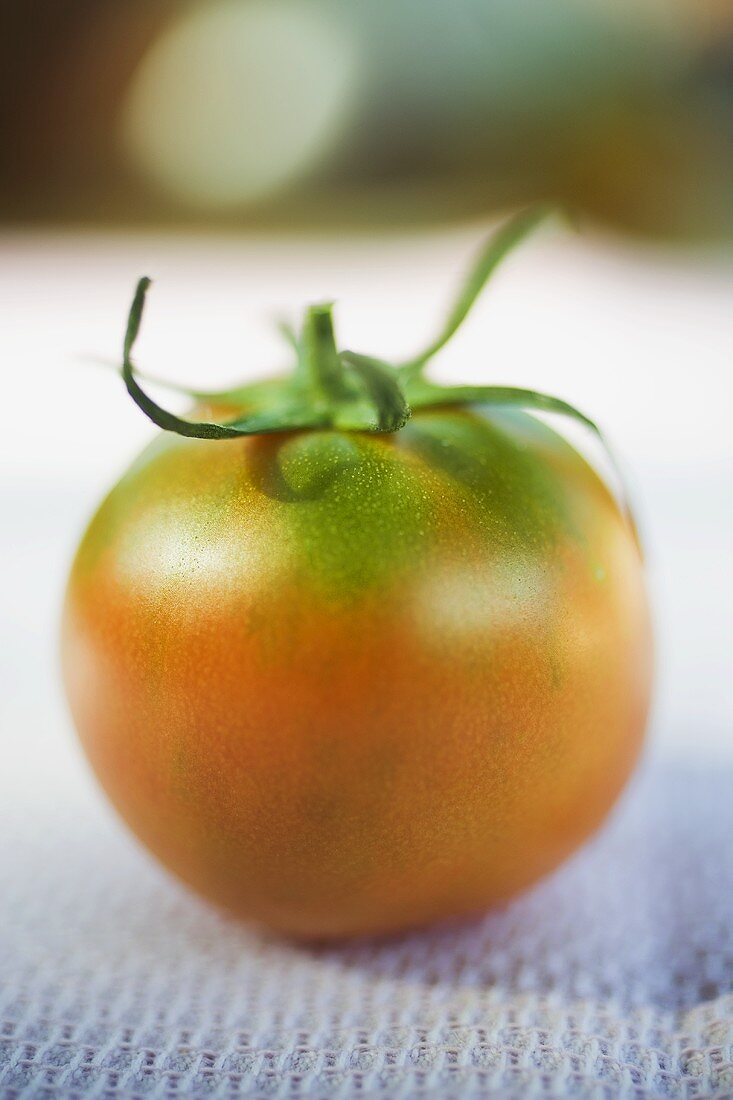 Tomato on white cloth