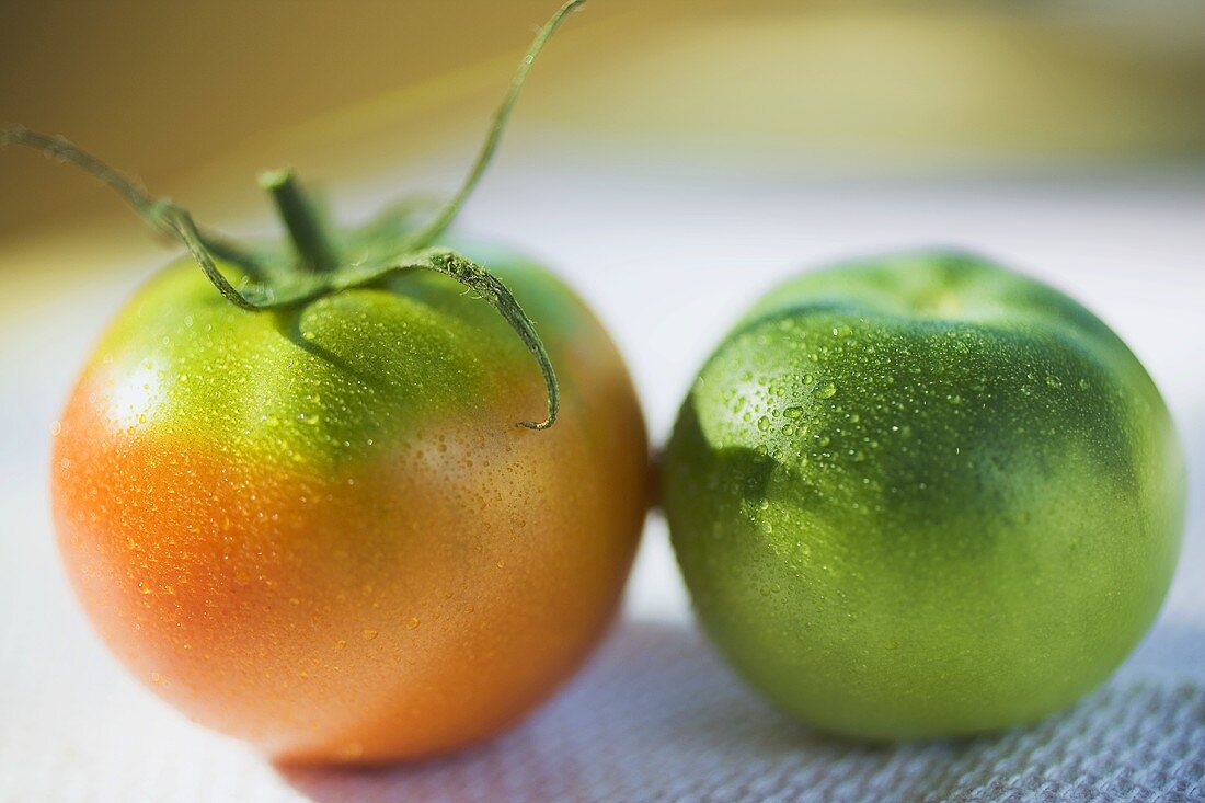 Tomatoes, green and orange, with drops of water