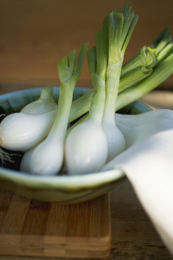 Several spring onions in bowl