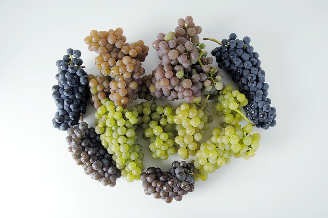 Various types of grapes