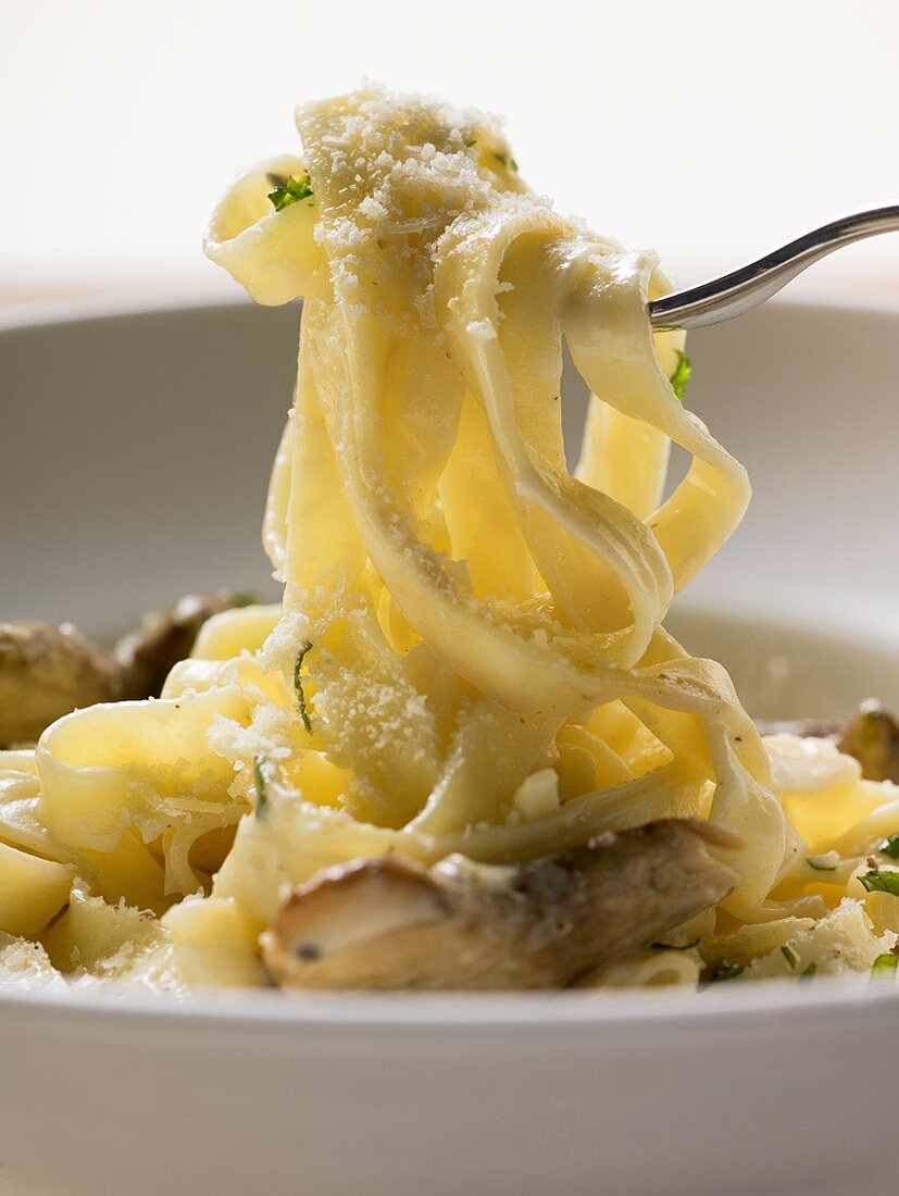 Tagliatelle mit Steinpilzen auf Gabel und Teller