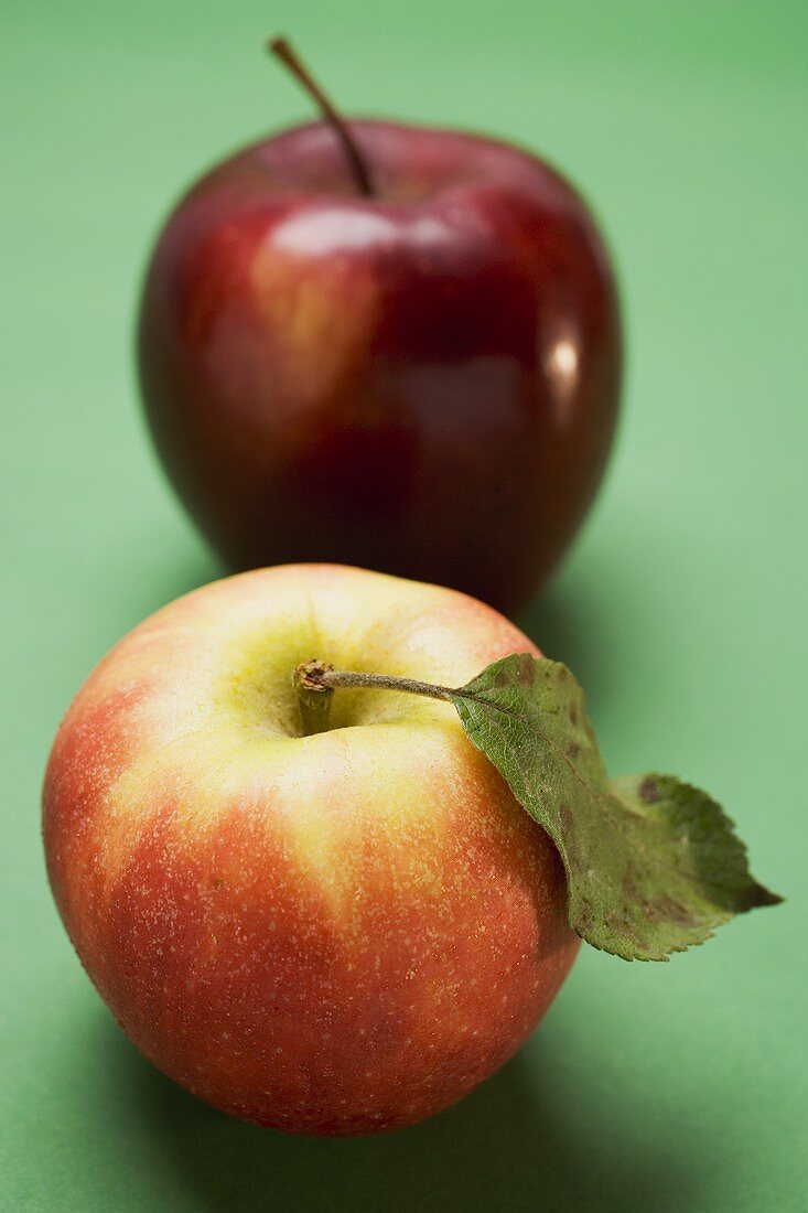 Zwei verschiedene Äpfel (Sorte Elstar und Stark)