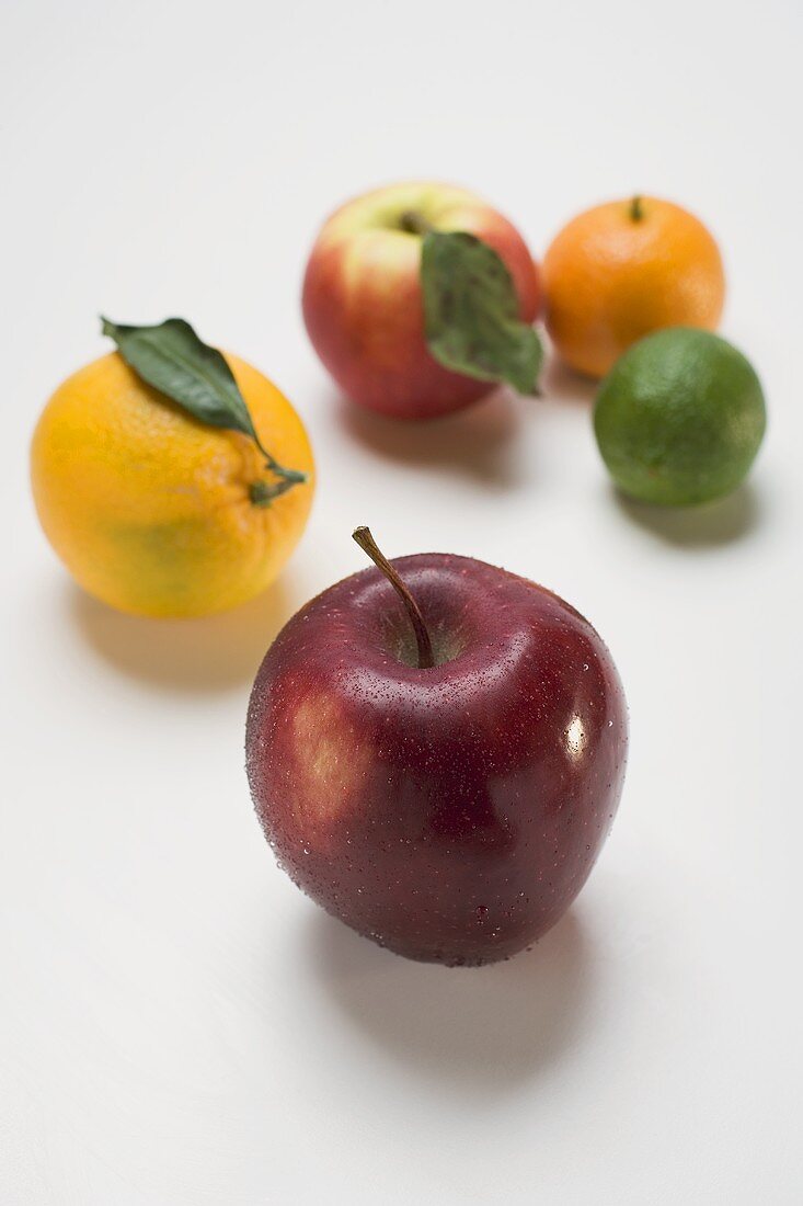 Äpfel und Zitrusfrüchte