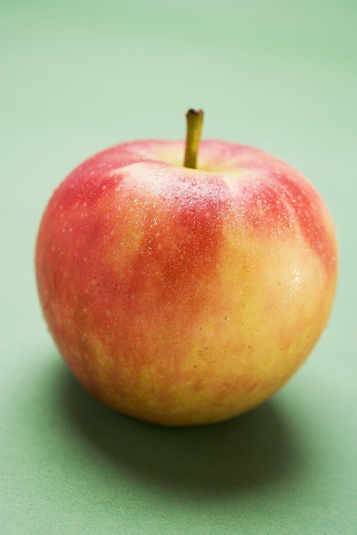 Elstar apple