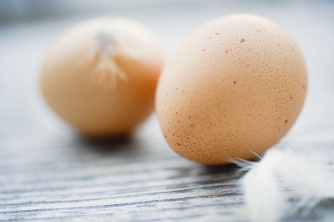 Two brown eggs with feathers