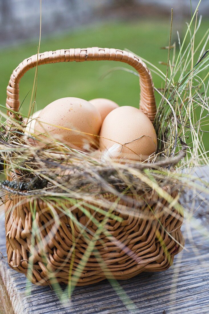 Brown eggs in a basket with hay