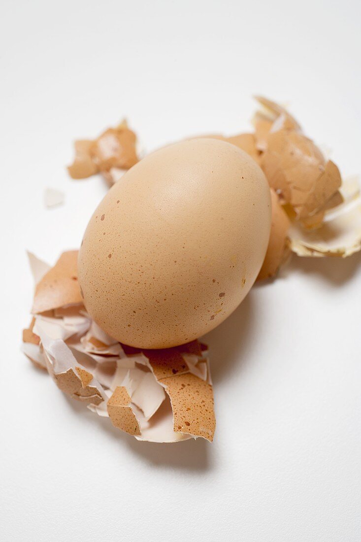 Brown egg on broken eggshells