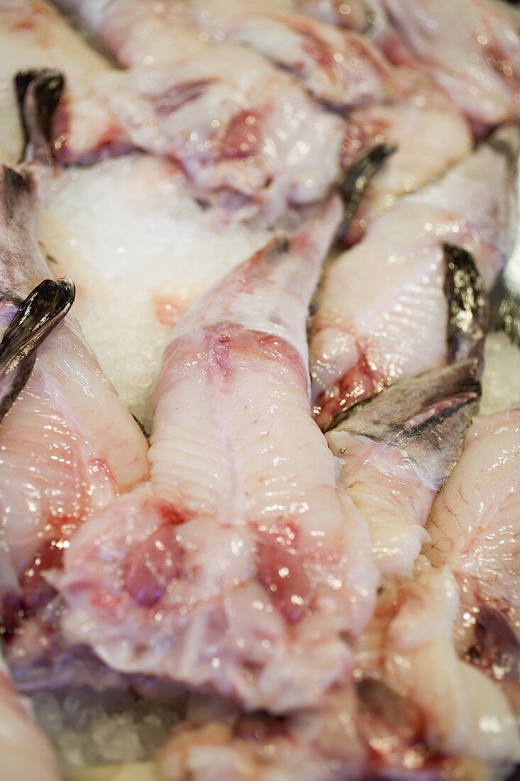 Fresh fish at a market