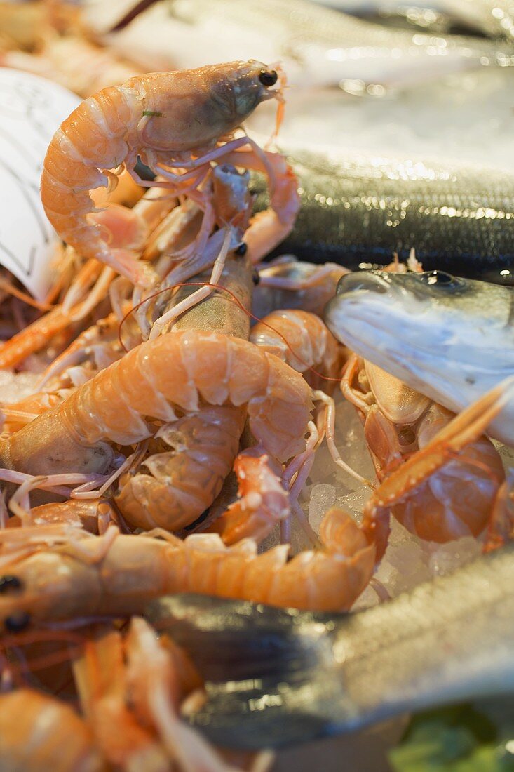 Garnelen und Fische am Markt