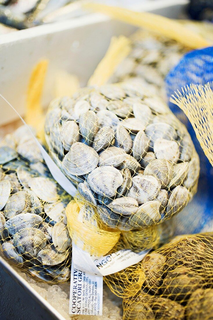 Clams in nets at a market