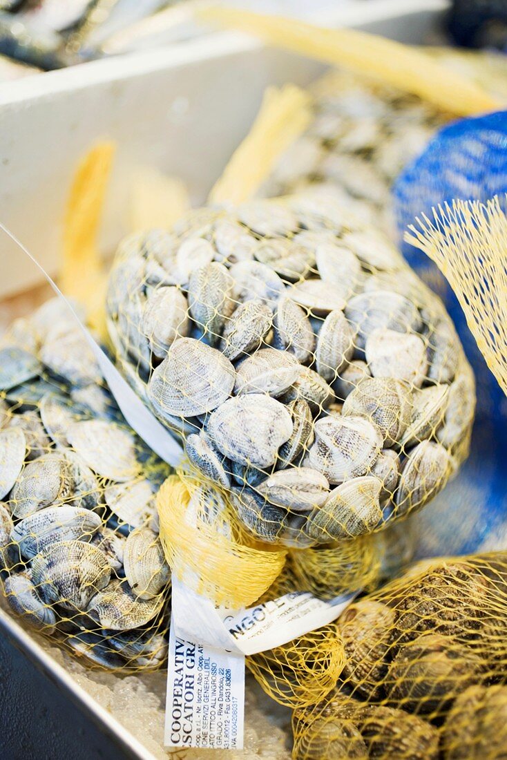 Venusmuscheln in Netzen auf dem Markt