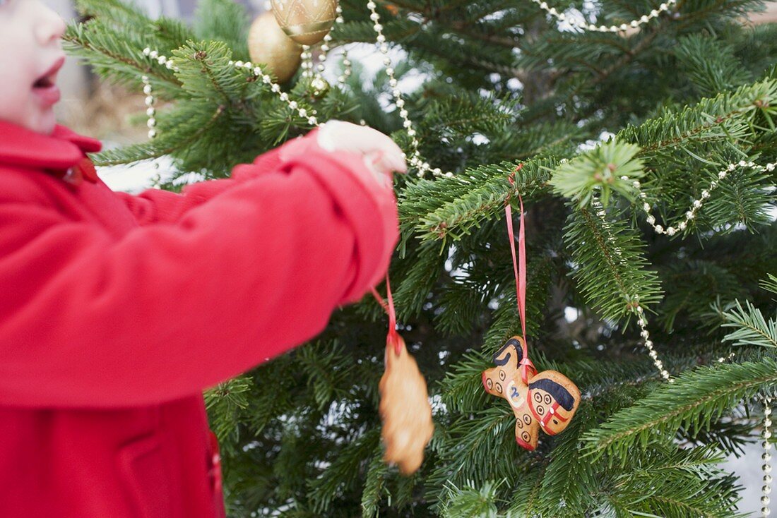 Child hanging gingerbread figures on Christmas tree out of doors