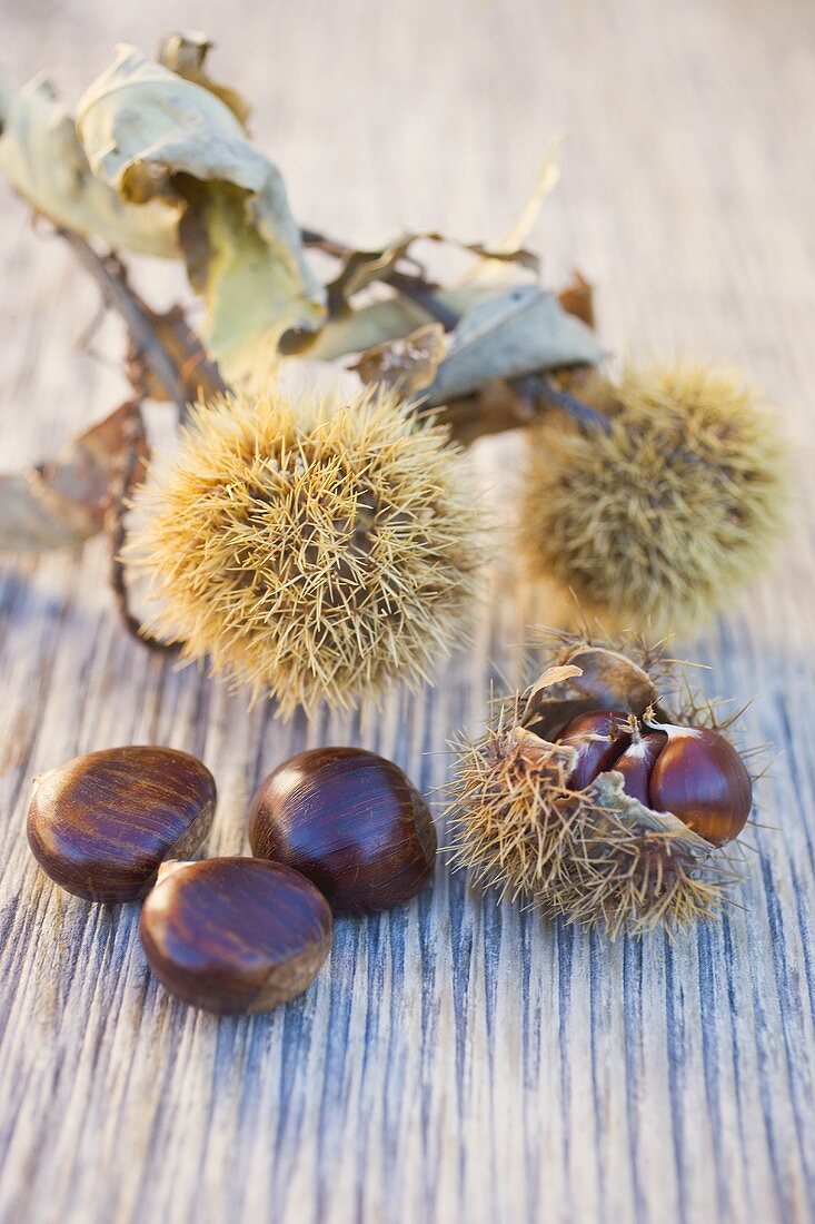 Chestnuts on wooden table