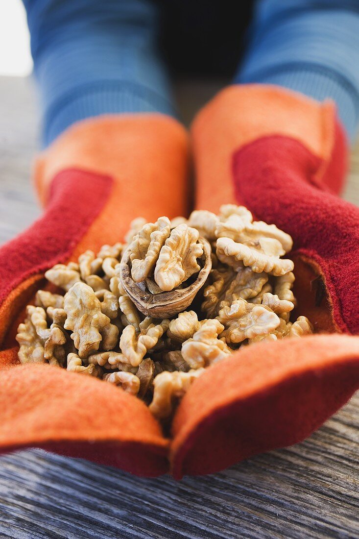 Hands in mittens holding walnuts