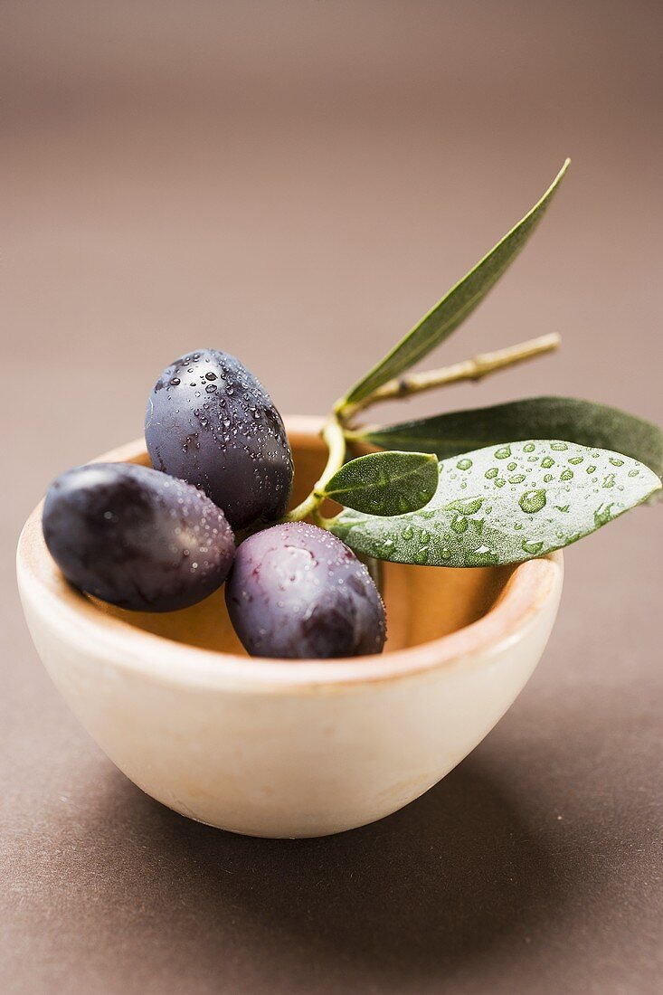 Olive sprig with black olives in terracotta bowl