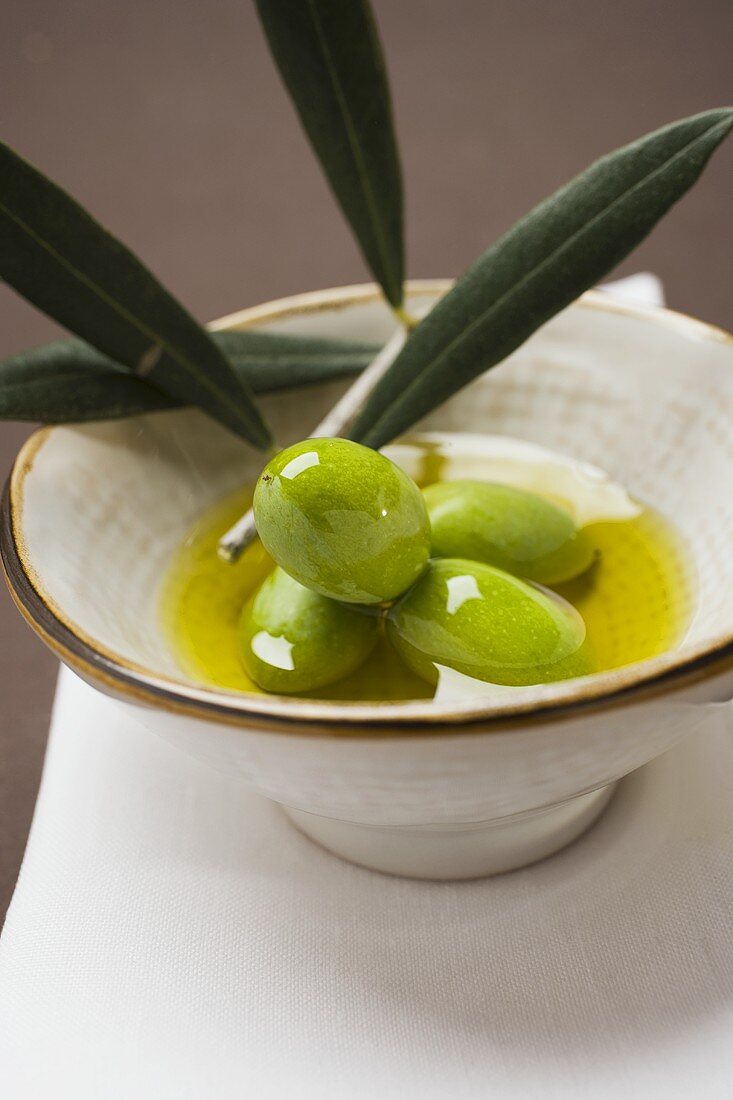 Grüne Oliven am Zweig in Schale Olivenöl