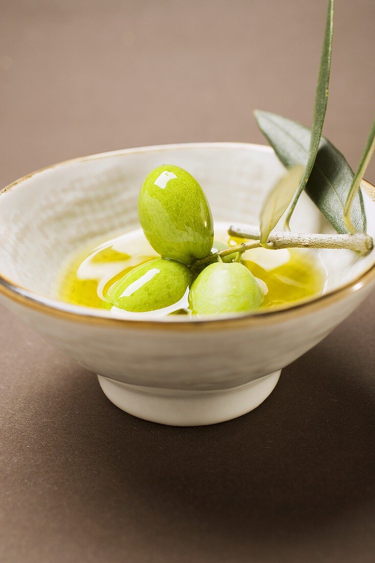 Grüne Oliven am Zweig in Schale Olivenöl