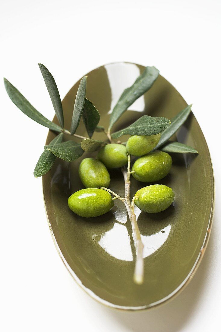 Grüne Oliven am Zweig in Schale