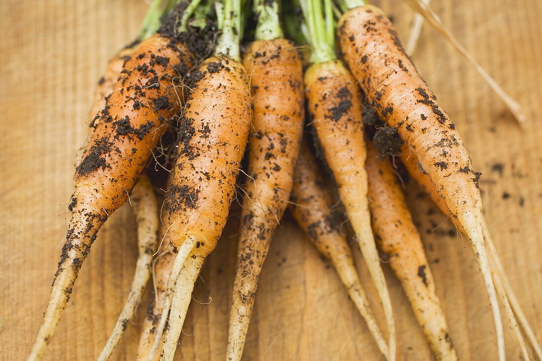 Young carrots with soil on chopping board (close-up)