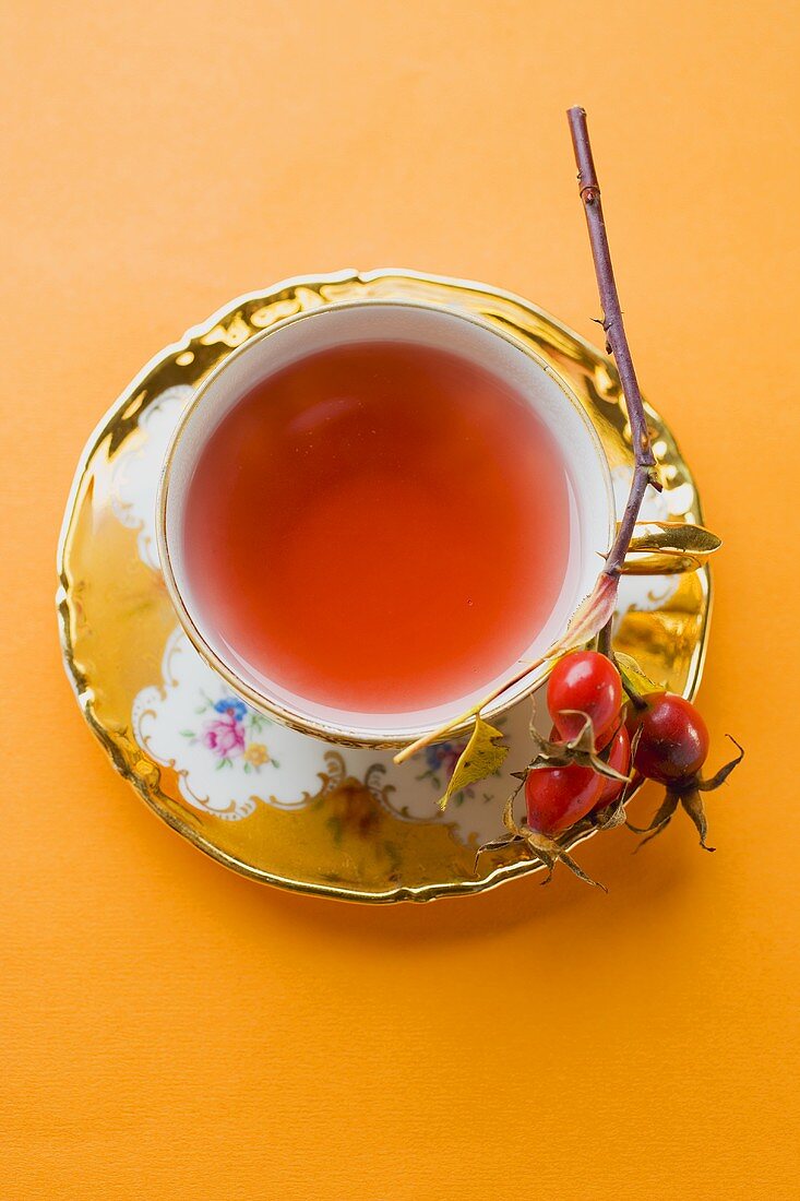 Rose hip tea in china cup, fresh rose hips on cup