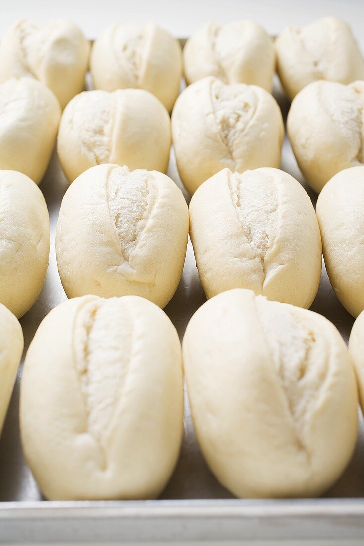 Unbaked baguette rolls on baking tray