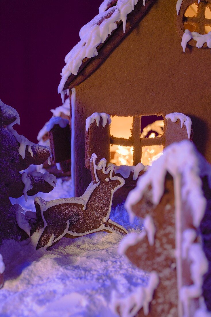 Gingerbread house with atmospheric lighting (detail)