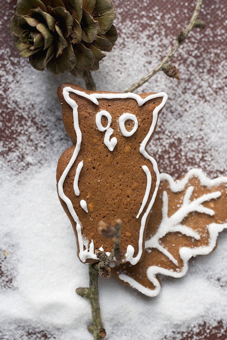 Gingerbread owl on branch