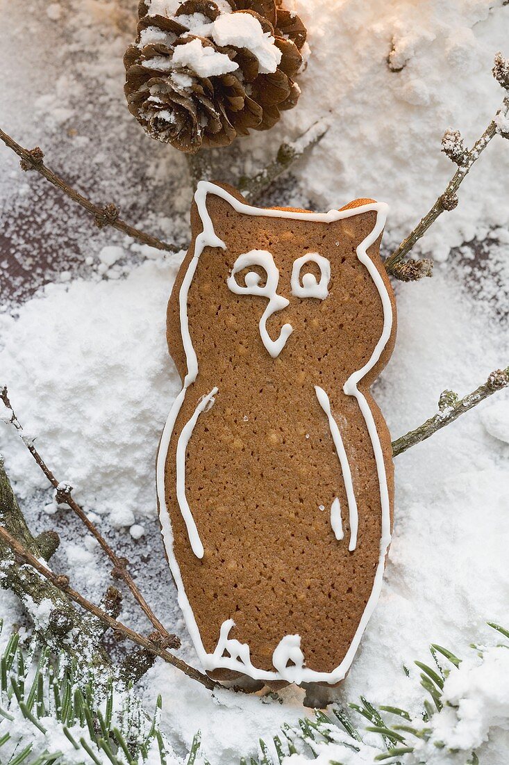 Gingerbread owl