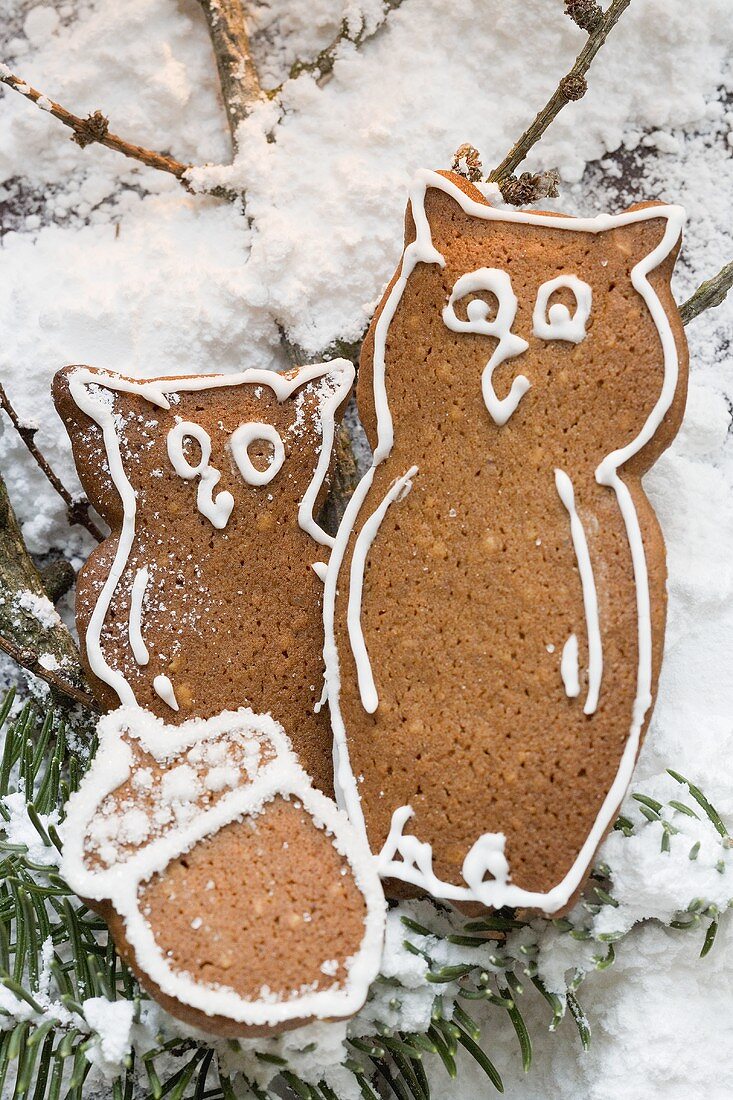 Gingerbread owls and acorn
