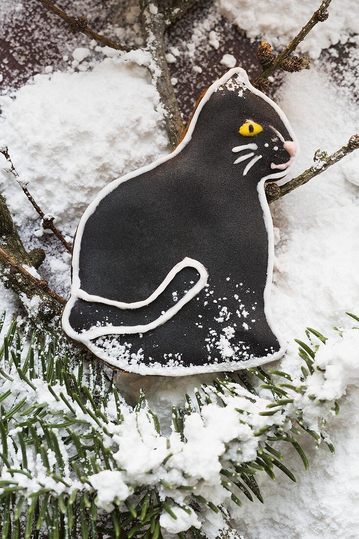 Black gingerbread cat with fir branches