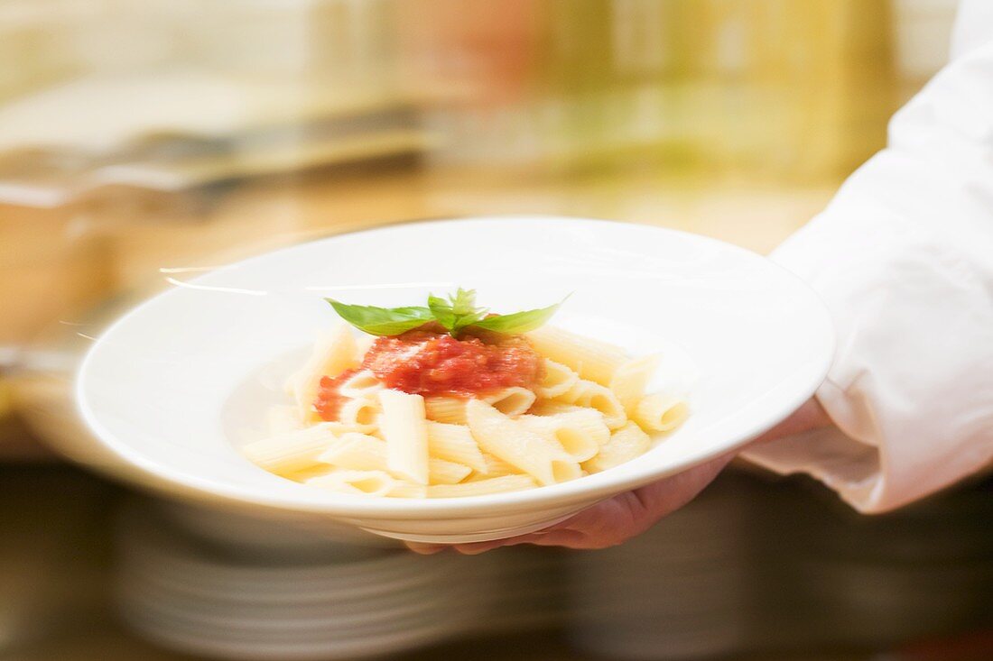 Koch serviert Penne mit Tomatensauce