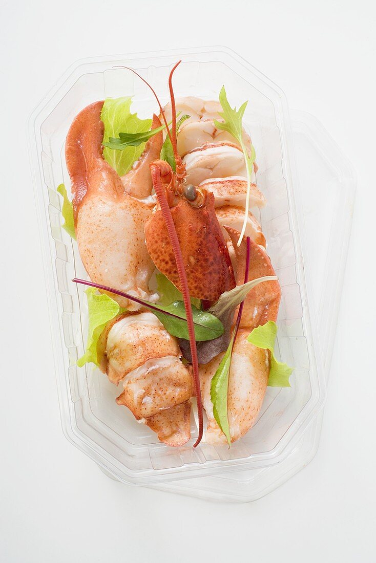 Cooked lobster in plastic container