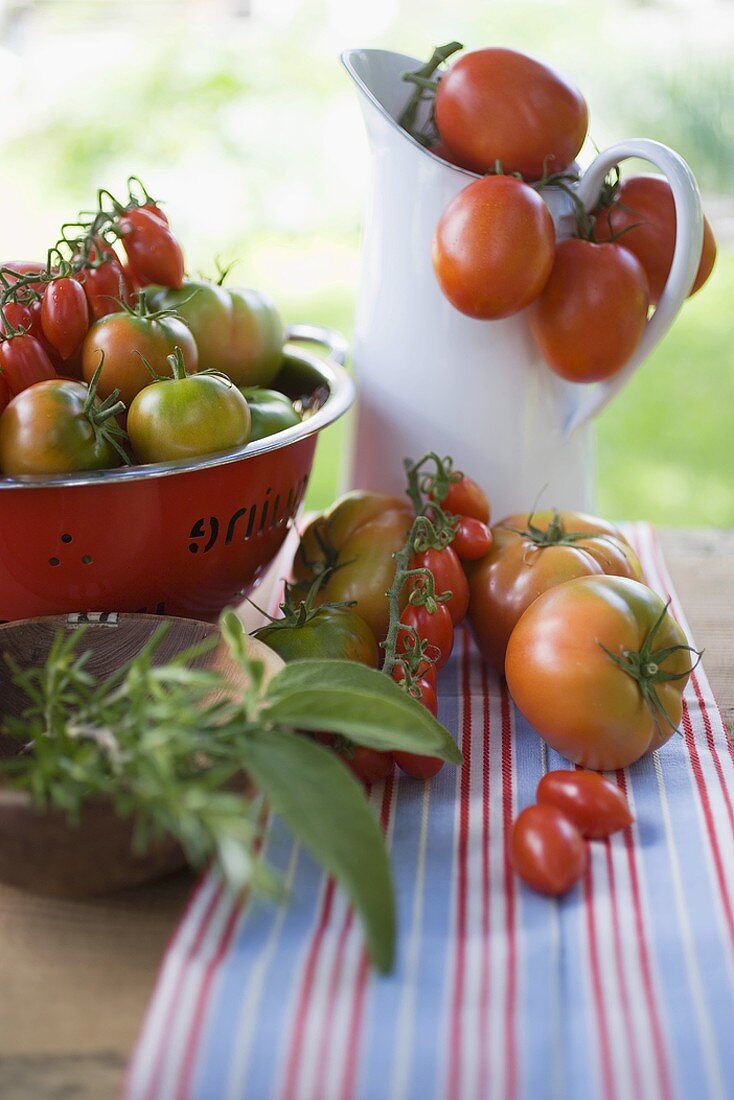 Verschiedene Tomaten auf Tisch im Freien