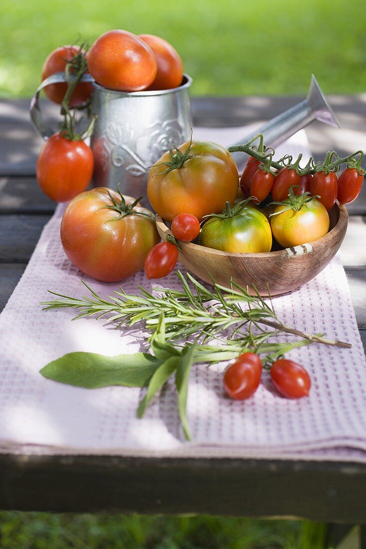 Verschiedene Tomaten auf Tisch im Freien