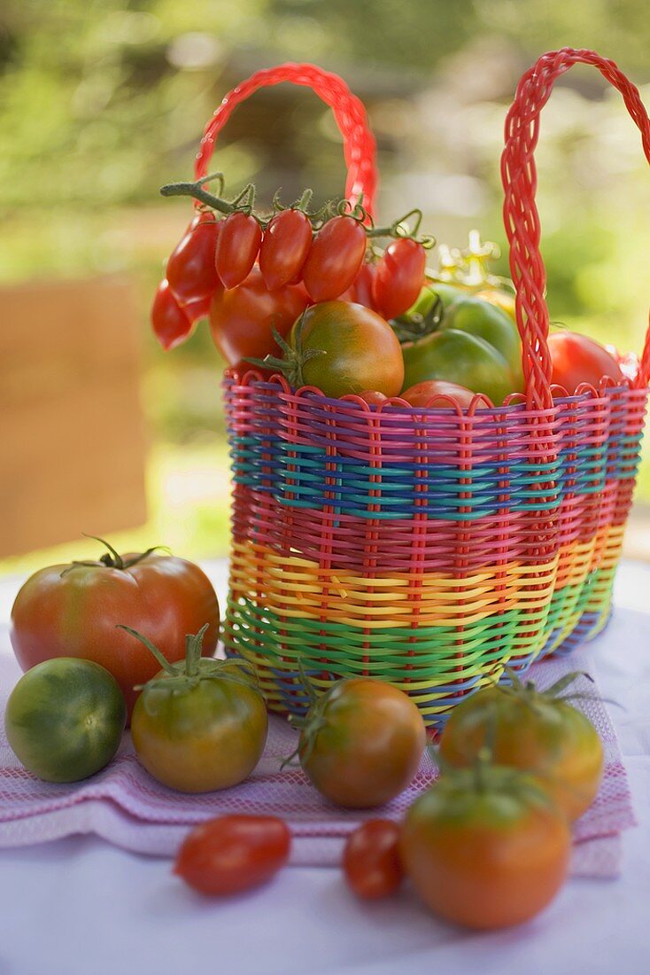 Verschiedene Tomaten in Einkaufstasche (aussen)