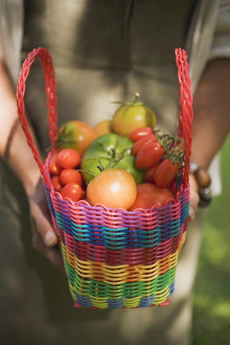 Woman holding shopping bag full of tomatoes (various types)