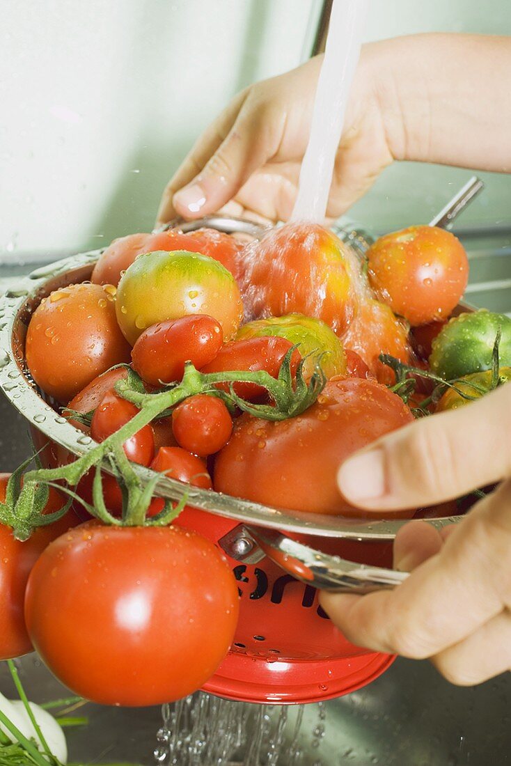 Washing tomatoes