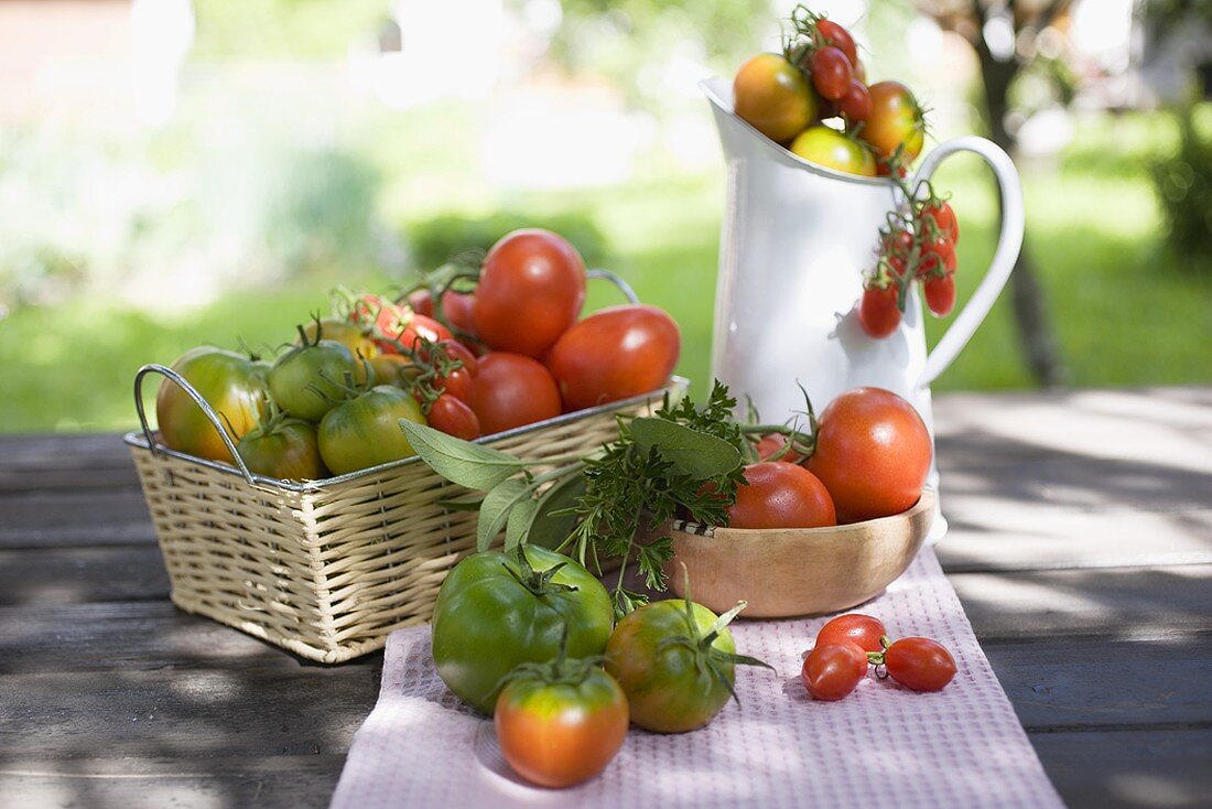 Verschiedene Tomaten auf Tisch im Freien