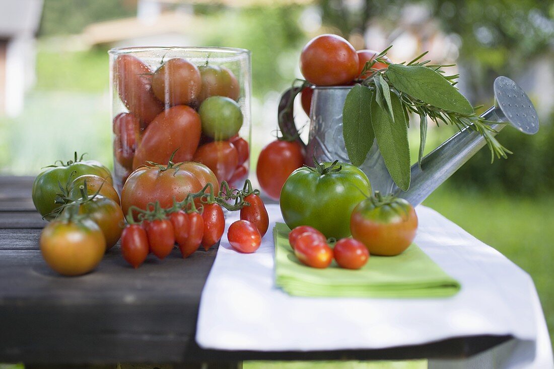 Verschiedene Tomaten auf Tisch im Freien