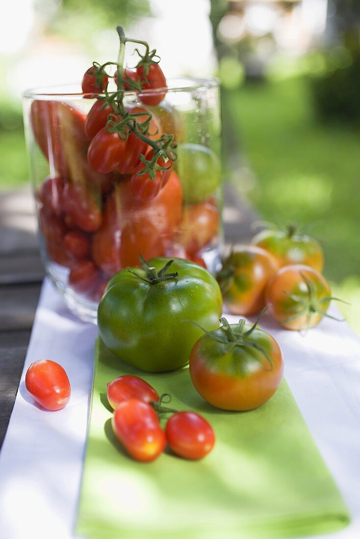 Verschiedene Tomaten auf Tisch im Freien