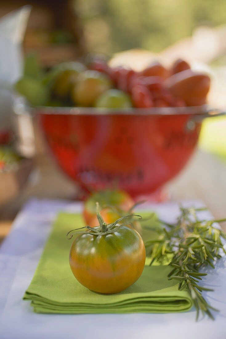 Verschiedene Tomaten auf Tisch im Freien